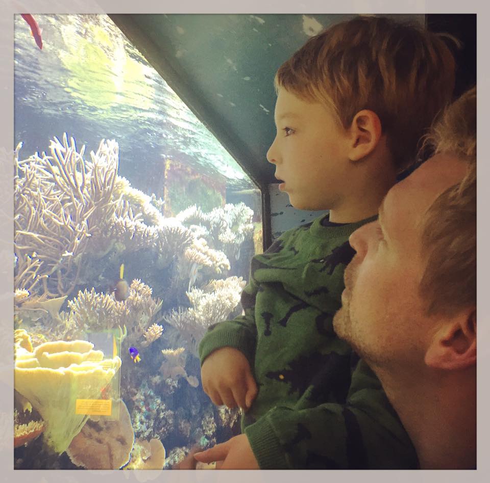 Flynn and Rogier looking at fish in an aquarium